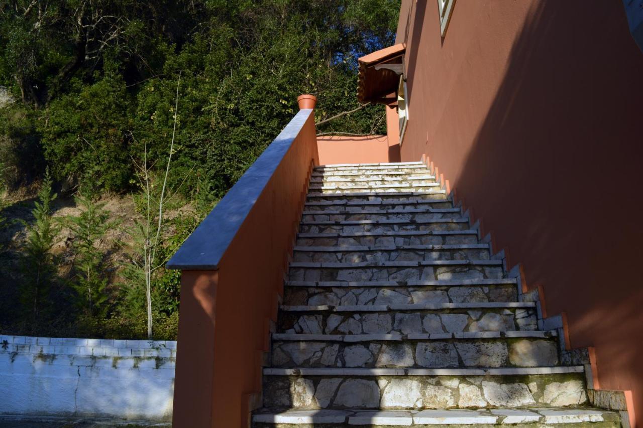 Papadatos Apts With Amazing View - 5Mins From The Beach Kontogialos Buitenkant foto